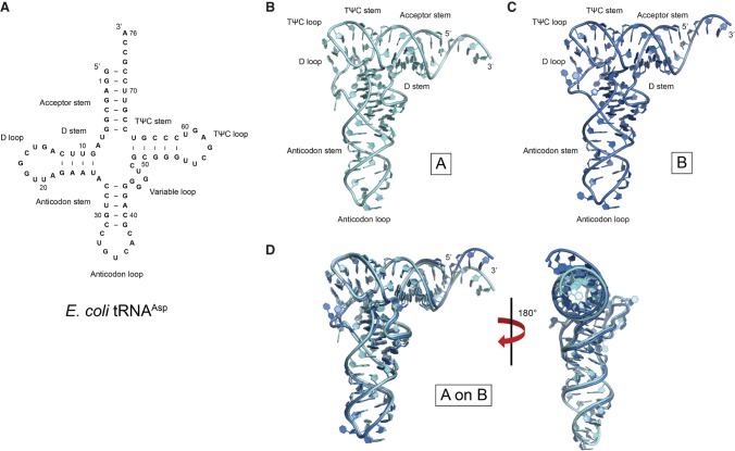 FIGURE 1.