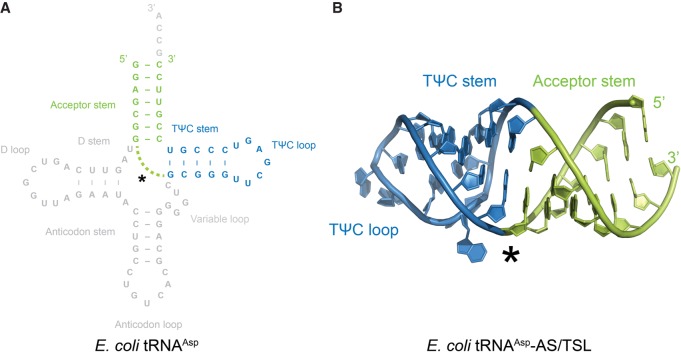 FIGURE 4.