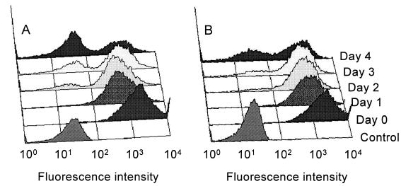 FIG. 1