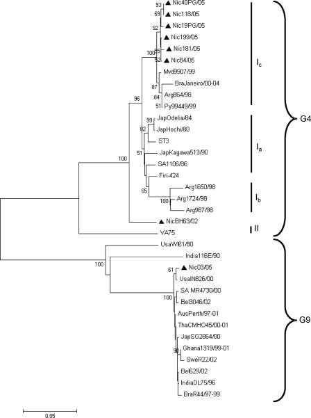 FIG. 1.