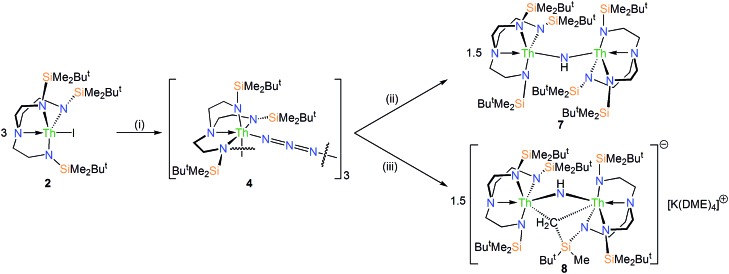 Scheme 2