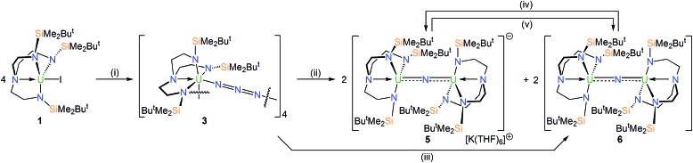 Scheme 1