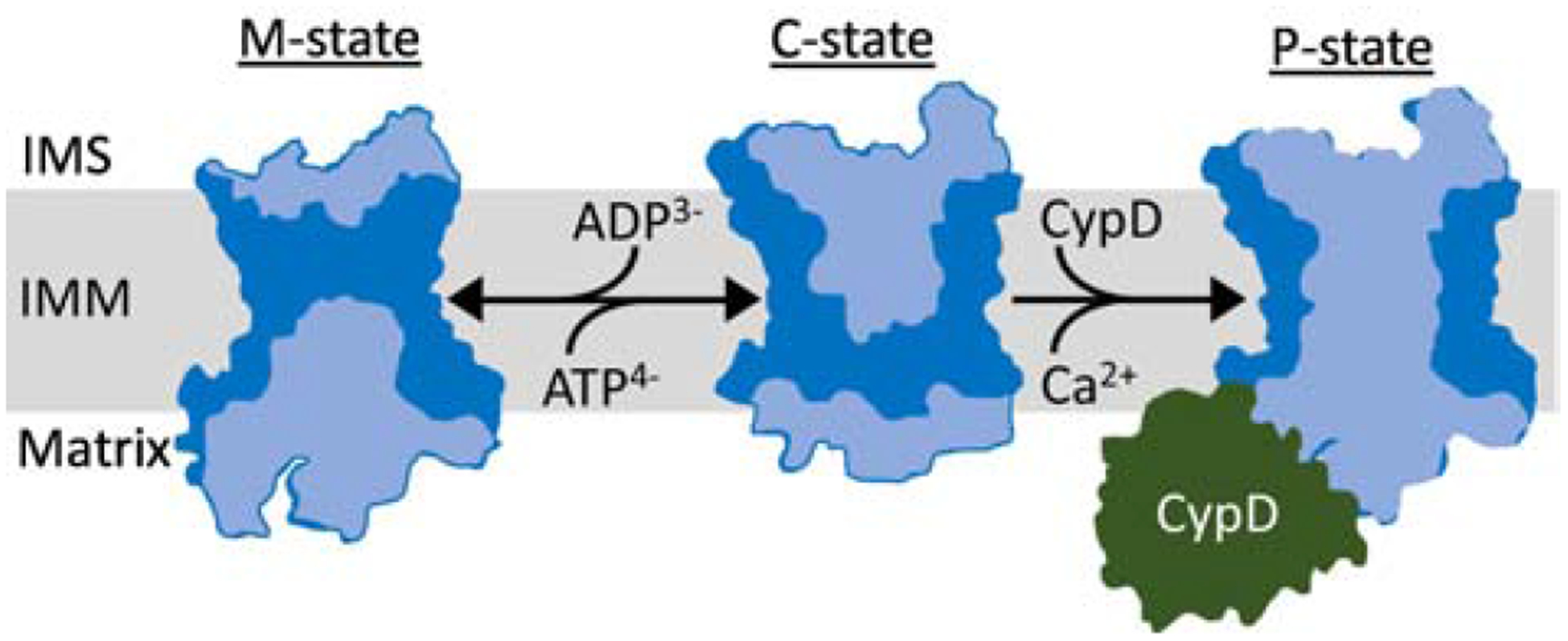 Figure 3: