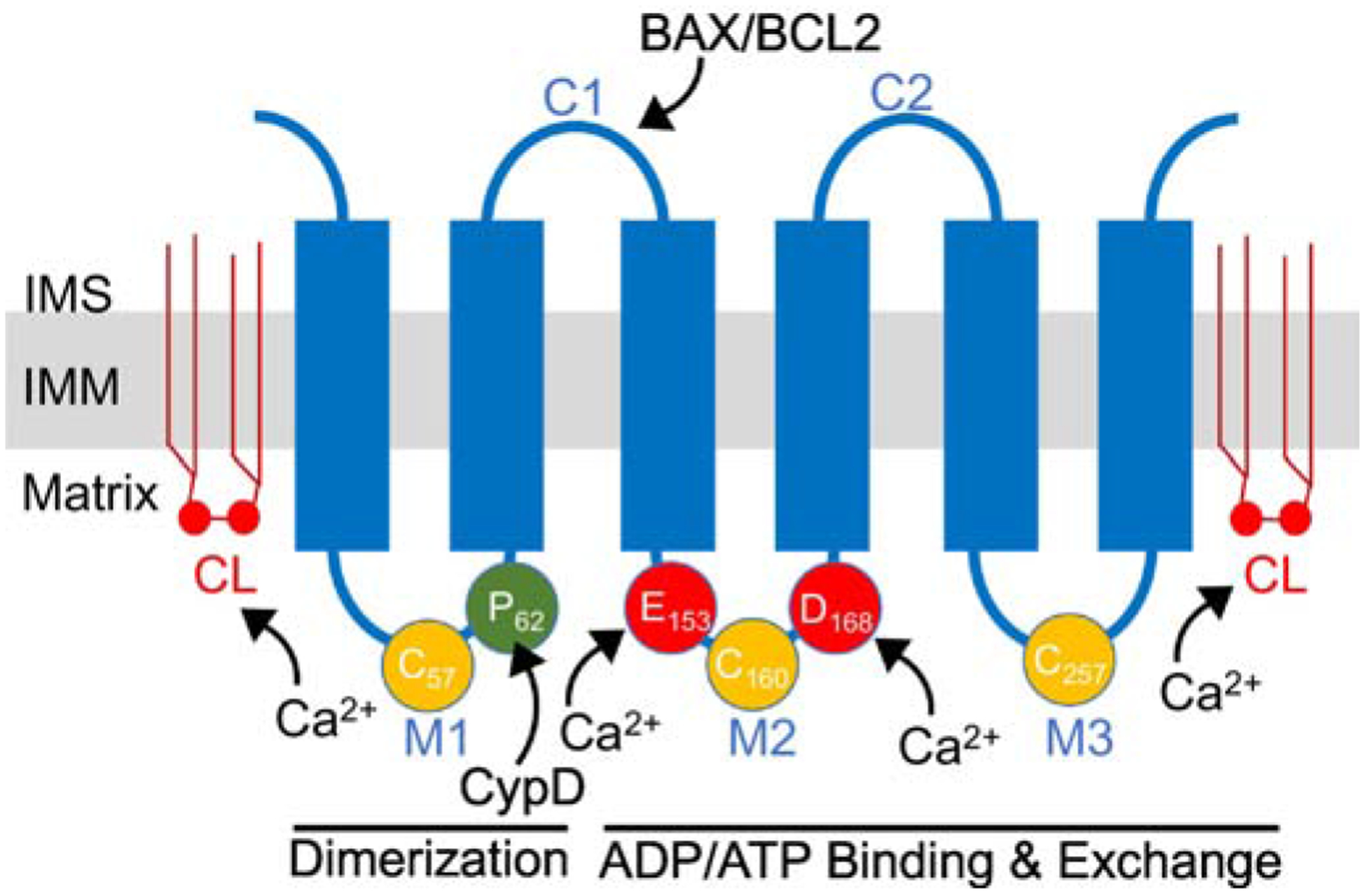 Figure 1: