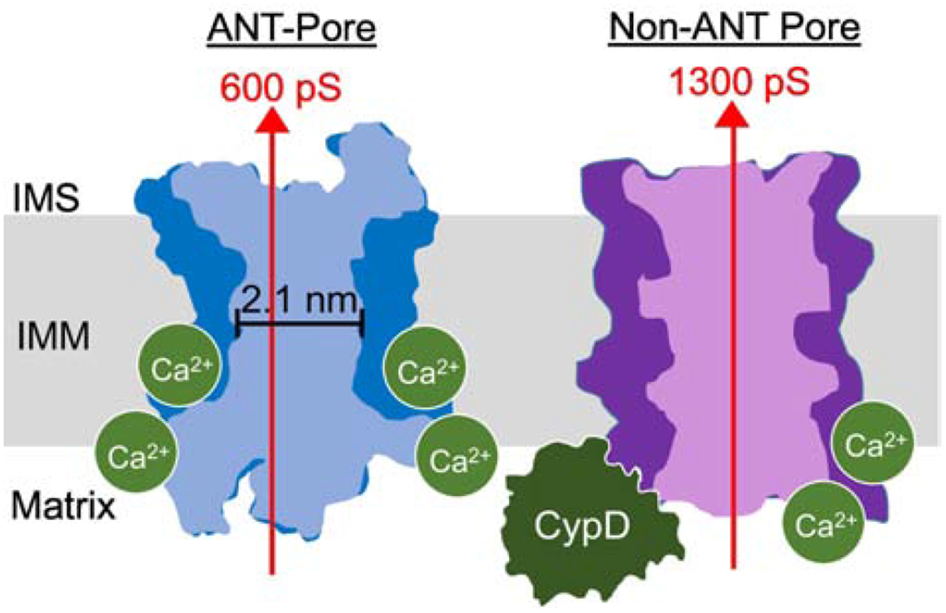 Figure 4: