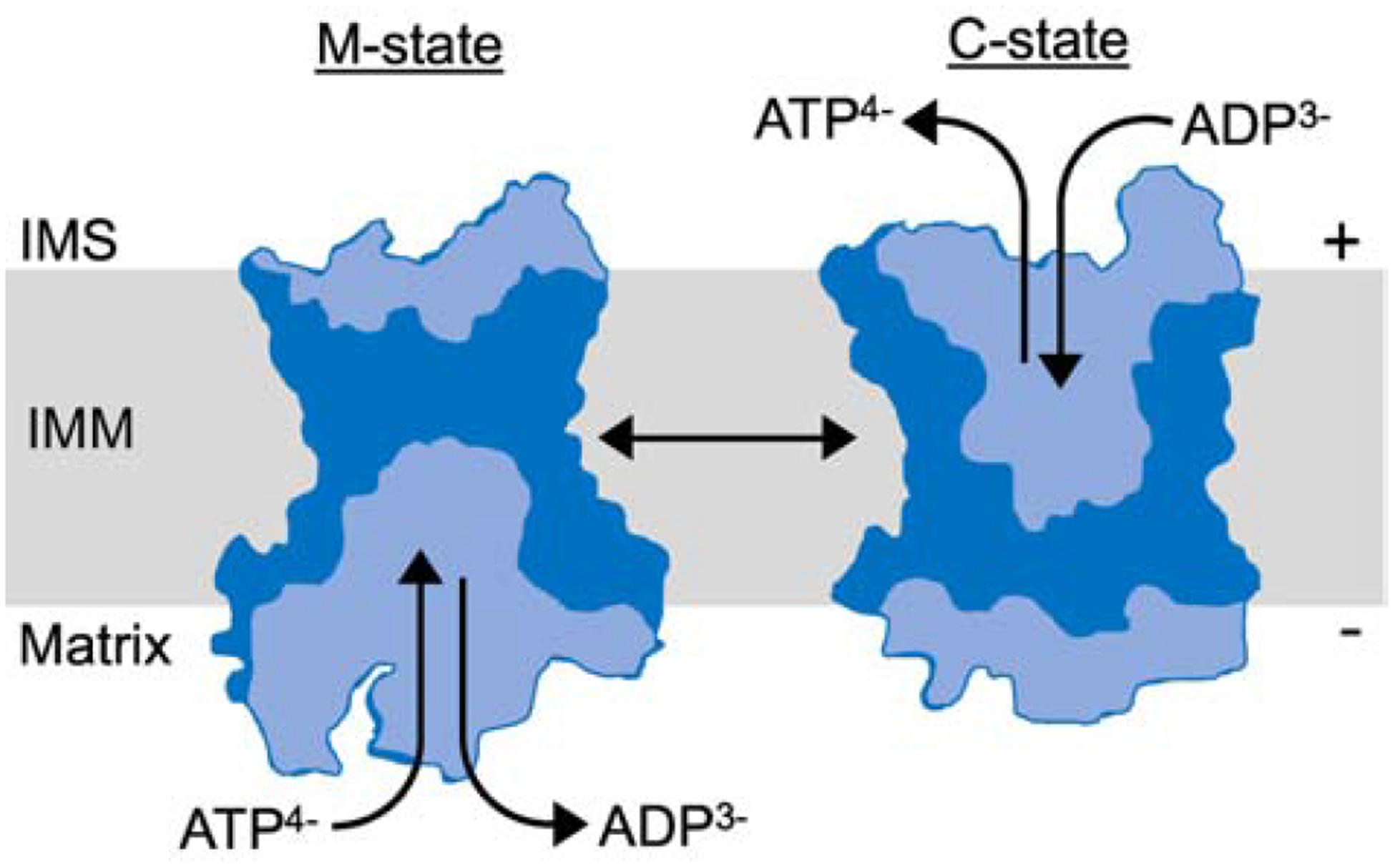 Figure 2: