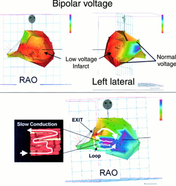 Figure 2:  