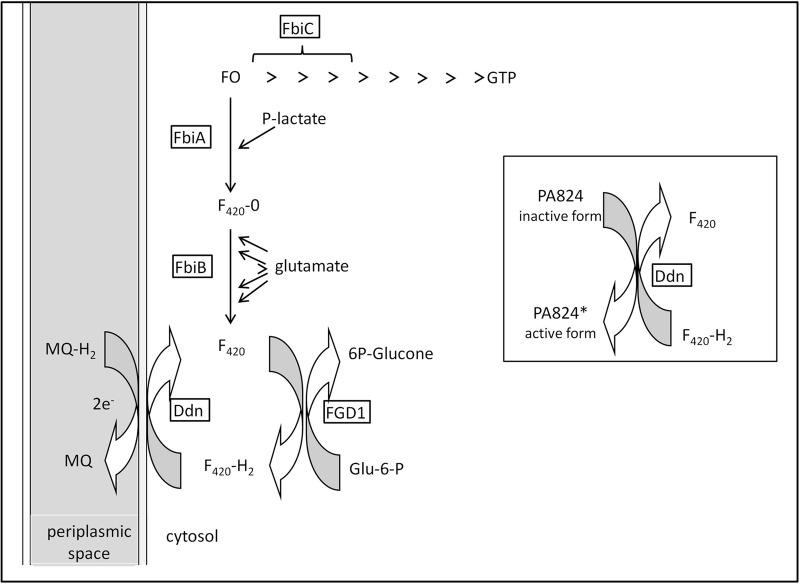 FIG 1