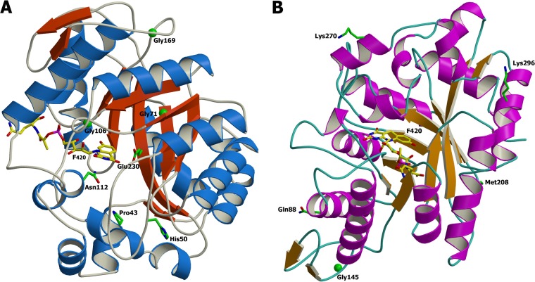 FIG 4