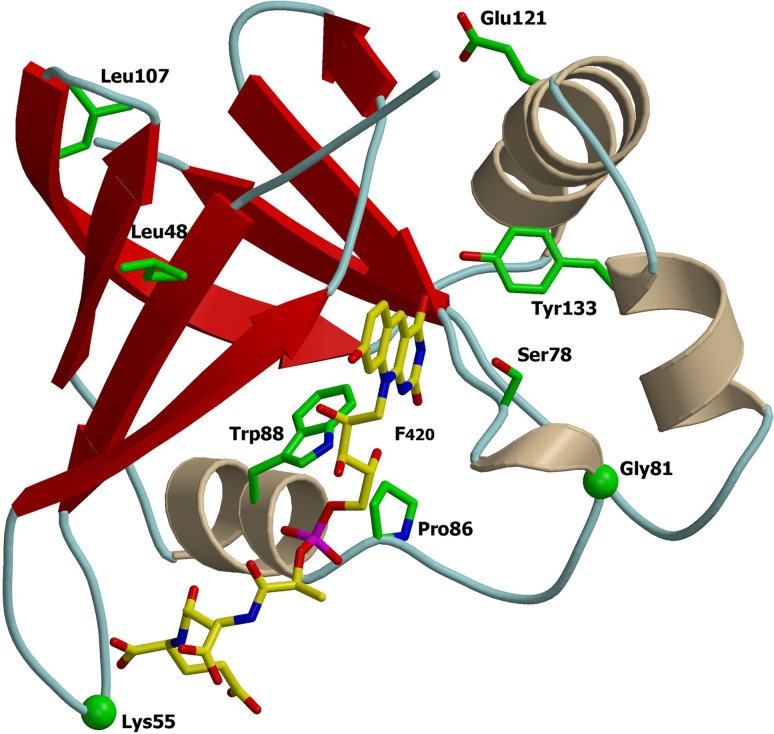 FIG 3