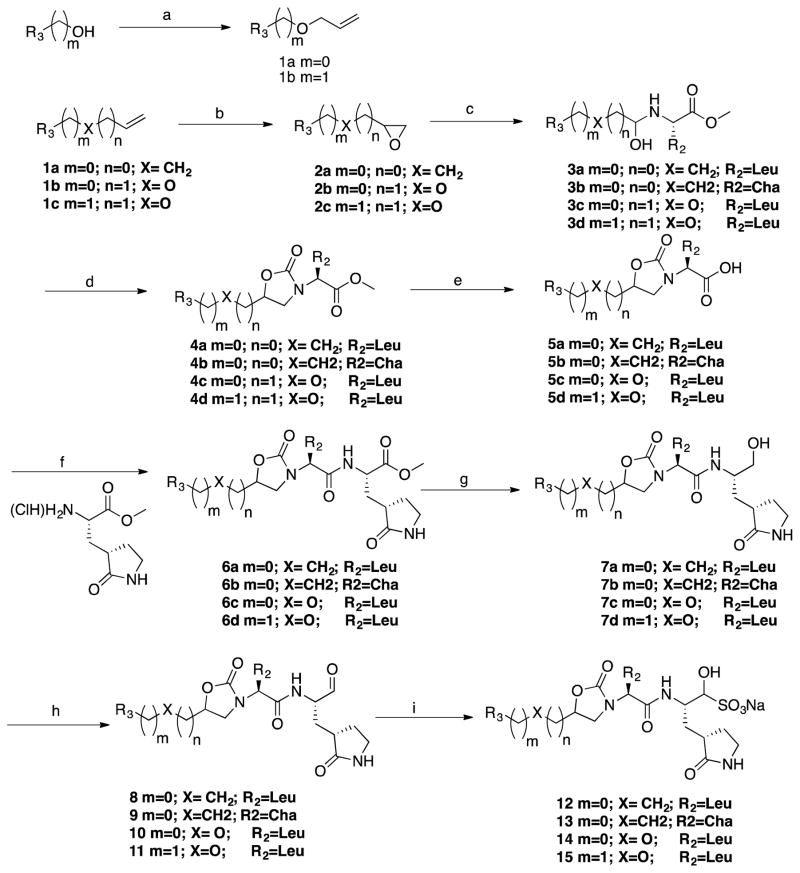 Scheme 1