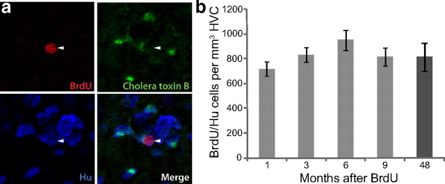 Figure 6.