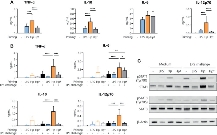 Figure 4