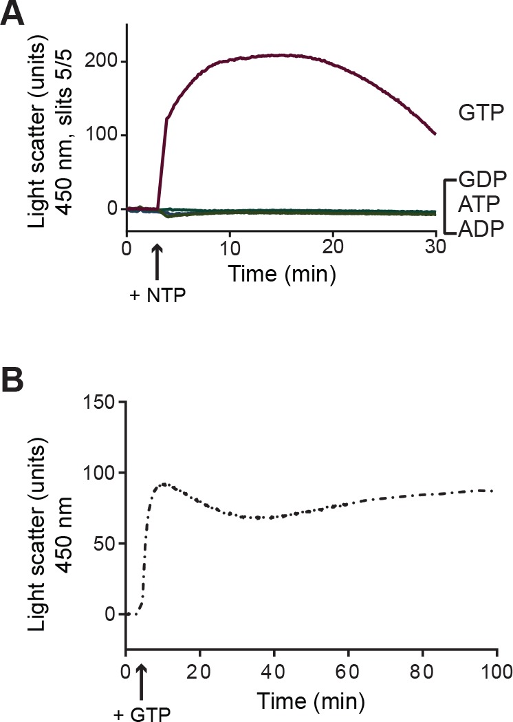 Figure 6—figure supplement 2.