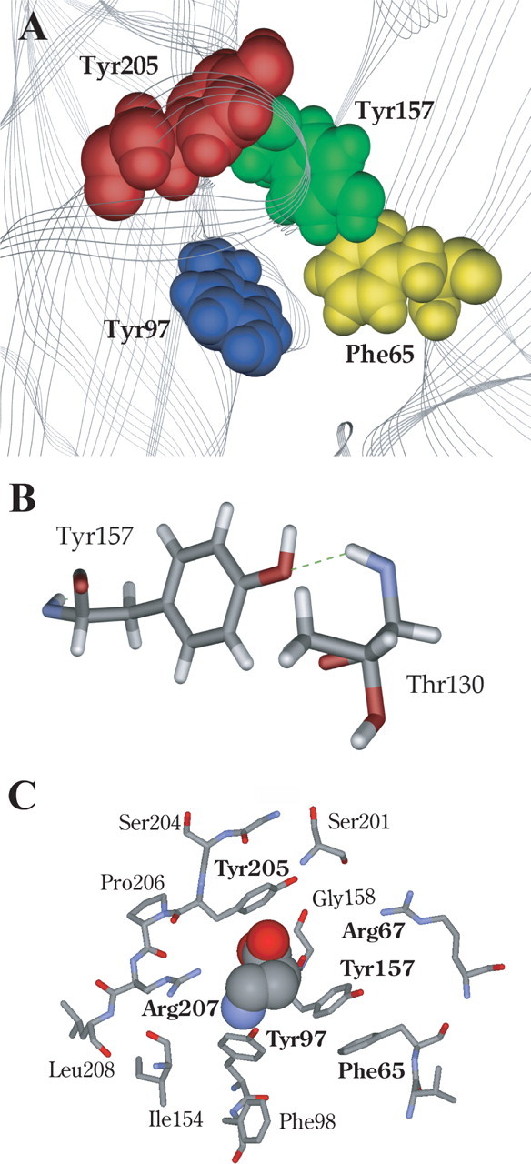 Figure 6.