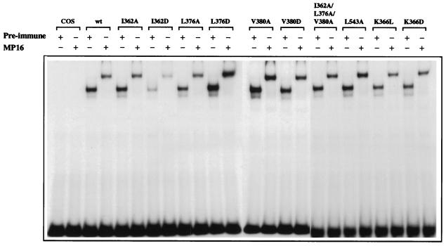 FIG. 5