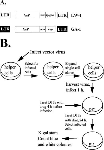 FIG. 1