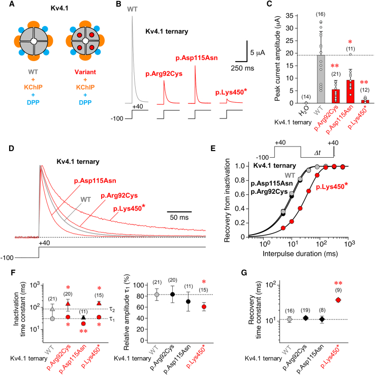 Figure 2