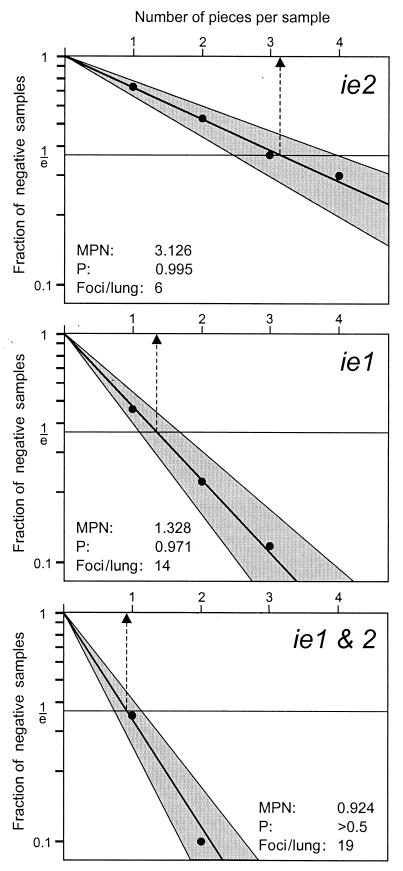 FIG. A1