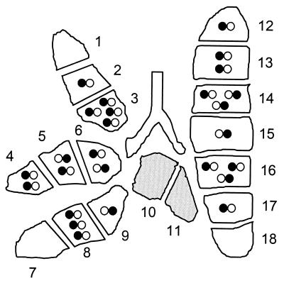 FIG. 5