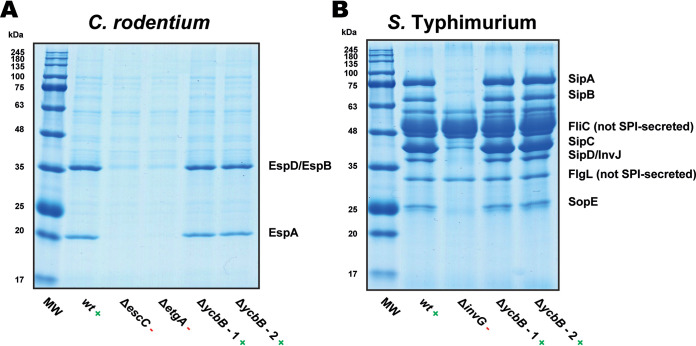 FIG 4