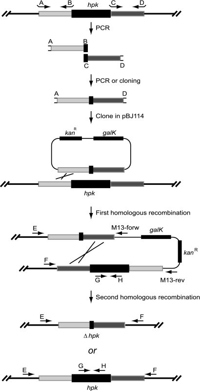 FIG. 2.