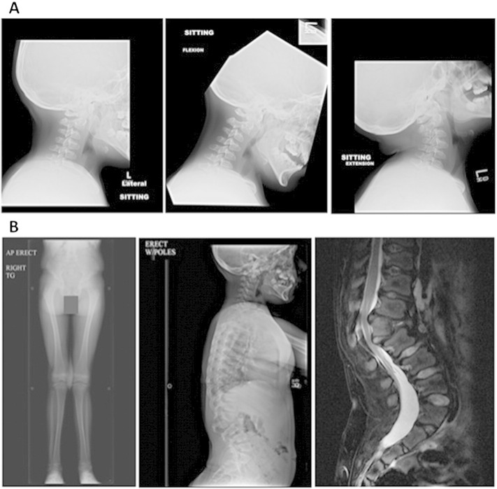 Fig. 2