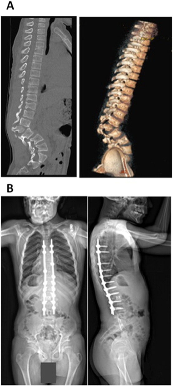 Fig. 4