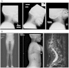 Fig. 2