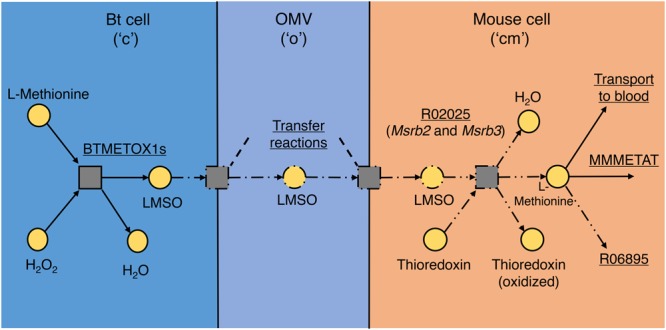 FIGURE 3