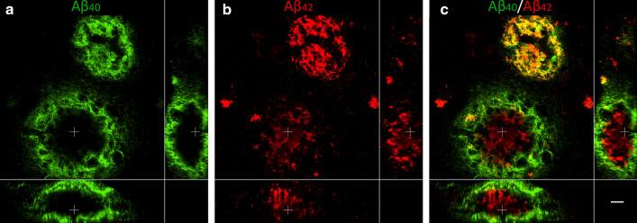 Fig. 9