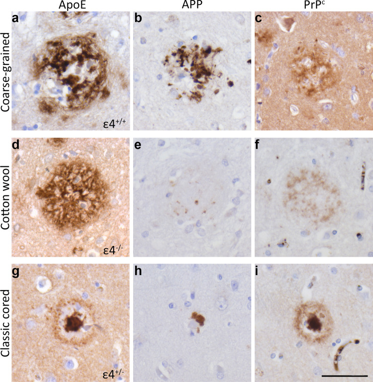 Fig. 4