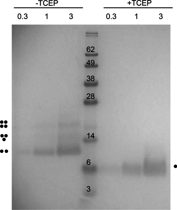 Fig. 3