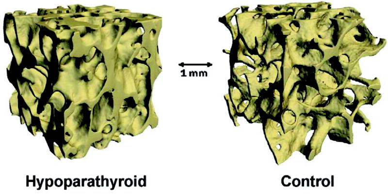 FIG. 8