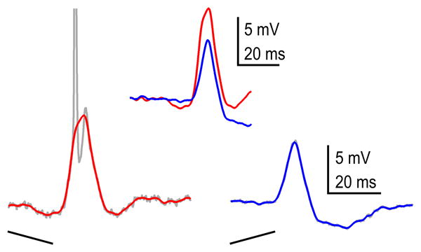 Fig. 9