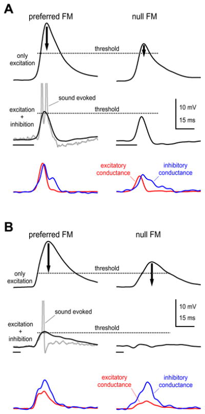 Fig. 13