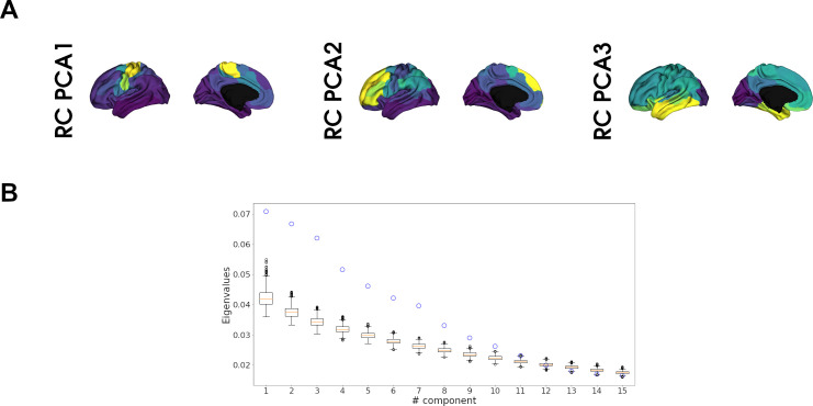 Figure 1—figure supplement 1.