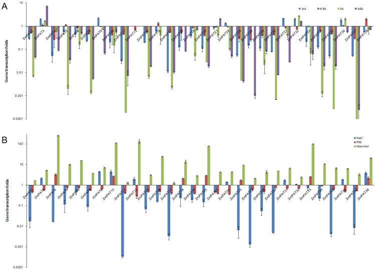 Figure 13