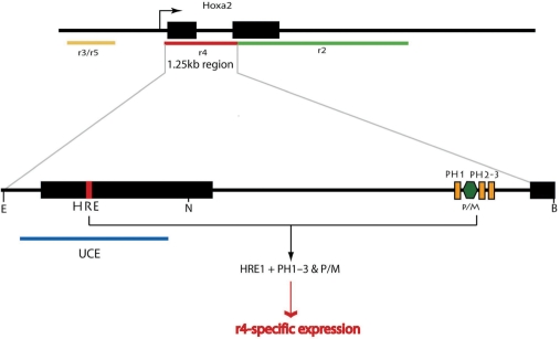 Figure 7.