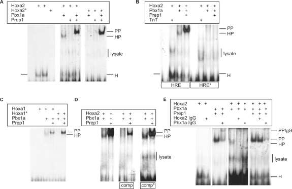 Figure 4.