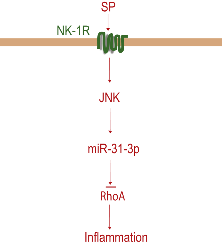 Figure 9