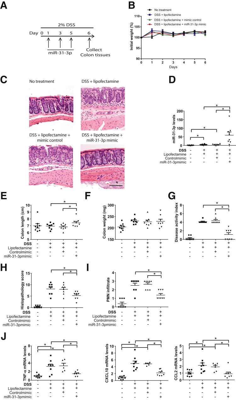 Figure 7