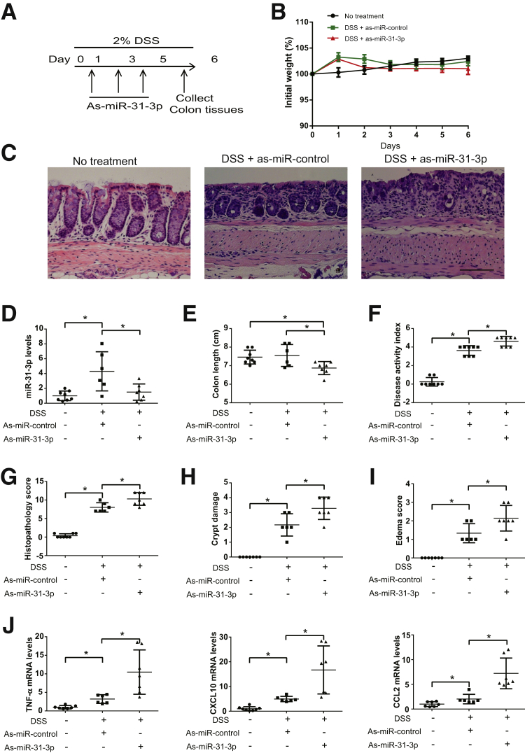 Figure 6