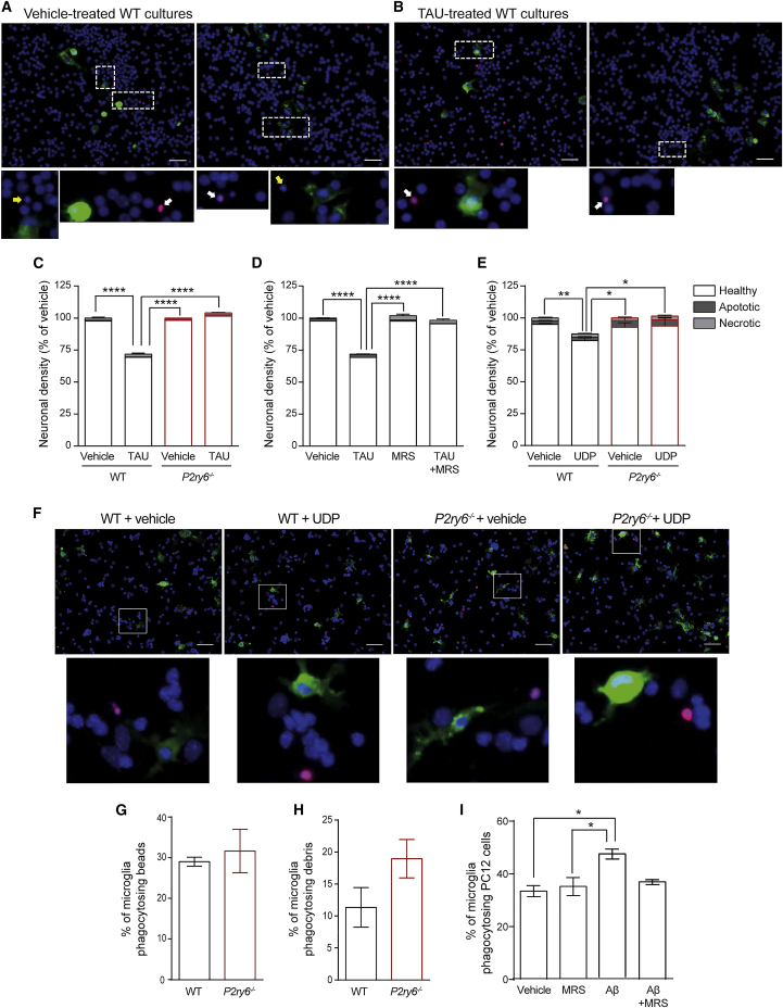 Figure 4