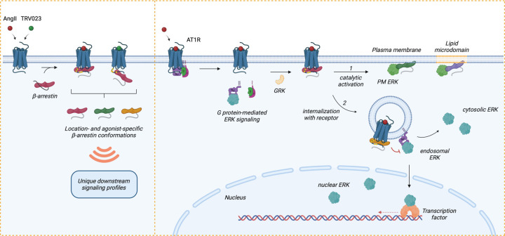 Figure 6: