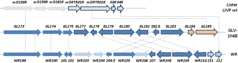 Fig. 4