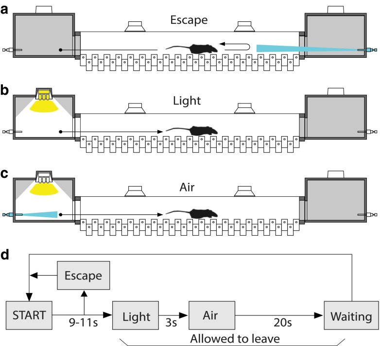 Fig. 2