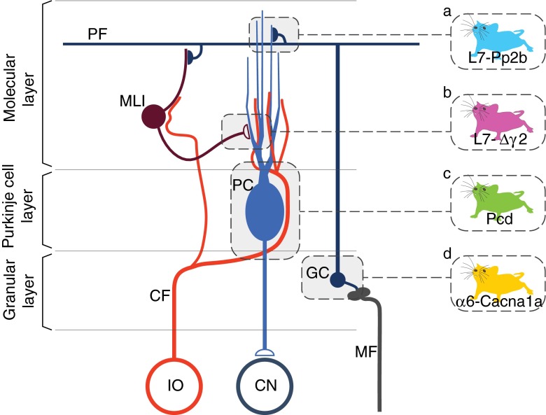 Fig. 1