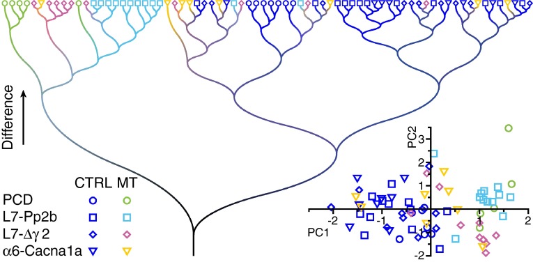 Fig. 12