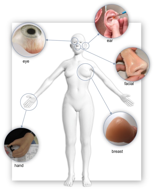 FIGURE 4